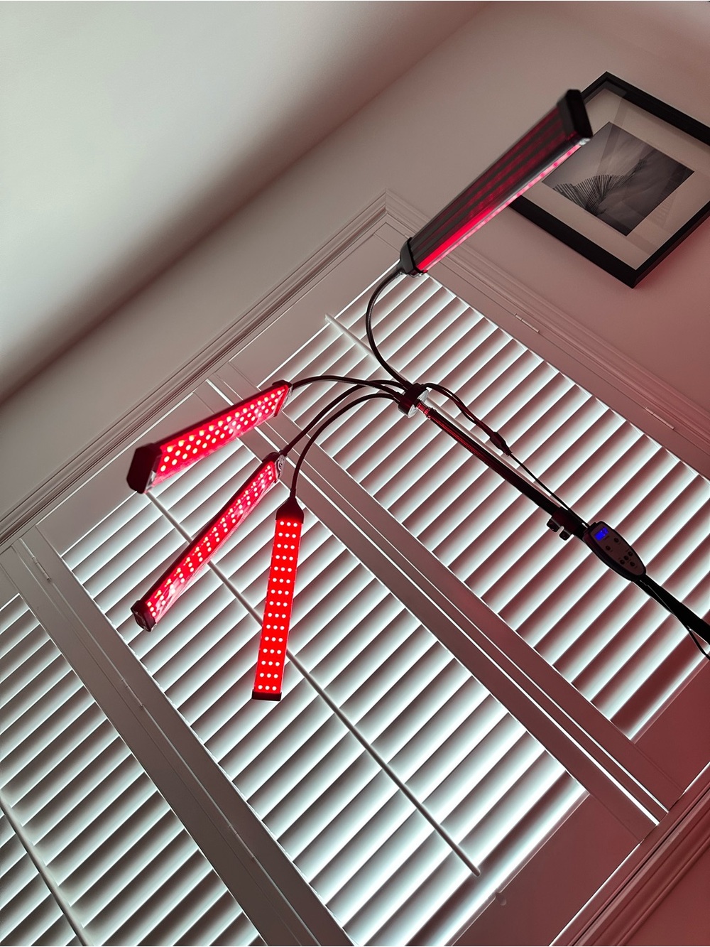 Light therapy - Picture 2 of 6